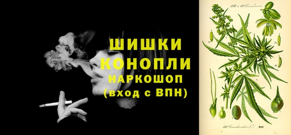 метадон Ельня